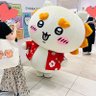 あまん profil fotoğrafı
