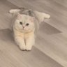 Kimi's profile picture