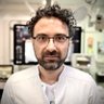 Ashkan Eftekhari's profile picture