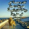 Profilbild von العدني غير