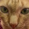 gujakasy's profile picture