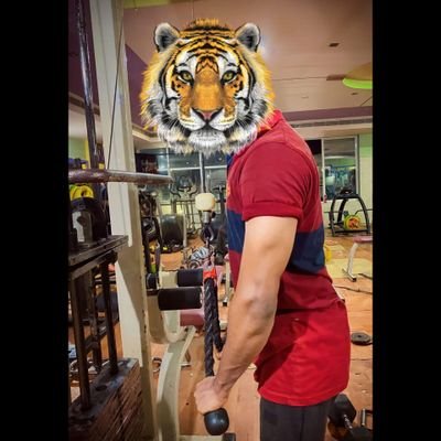 NarasimhaNTR_'s profile picture