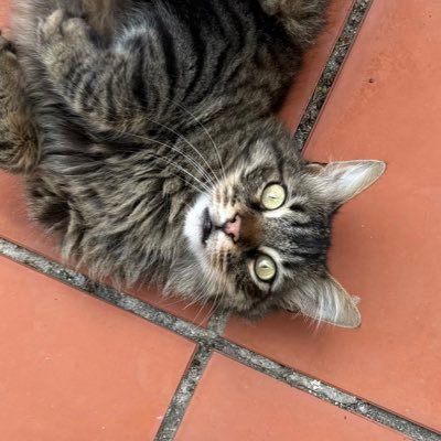 jess___011's profile picture