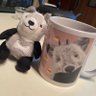 その辺の猫 的头像