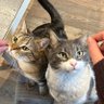 _Val_ profil fotoğrafı