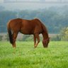 Фото профиля Samual Upton