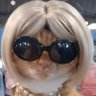 Gucci Del Taco Rothschild.👽🐩's profile picture