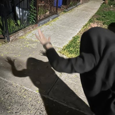 ani's profile picture