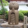 Profilbild von すじゃく