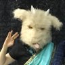 ねっころ※糸※نبرد profil fotoğrafı