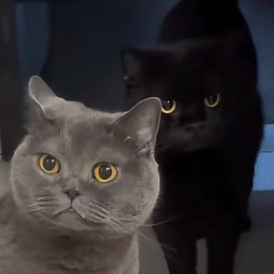 404nofk's profile picture