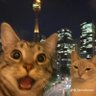 Mateo's profile picture