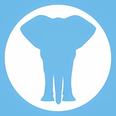 TheNoisyTrunk's profile picture