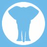 The Noisy Elephant's profile picture