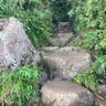 山山山's profile picture