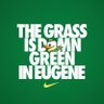 TeamDamnGreen🦆 profil fotoğrafı