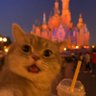 jeff123 profil fotoğrafı