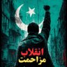 Profilbild von مسٹر پاکستانی