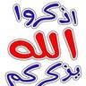 البرناس المسلم 的头像