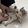 Karasik profil fotoğrafı