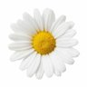 Profilbild von Margarita Leaks