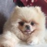 Vivat's profile picture