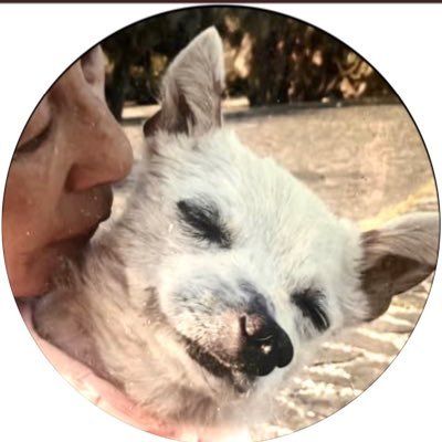 浩代's profile picture