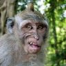 Ghandamirenje's profile picture