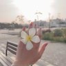 🐆 profil fotoğrafı