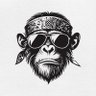 Colt. 的头像