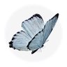 🩺💙إيْـنَــــاس's profile picture