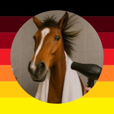 TeamSotogrande's profile picture