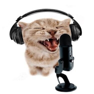 gatodemicrofone's profile picture