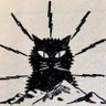 Elektrischer Waldkater's profile picture