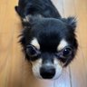 Profilbild von ナッツまま