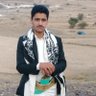 علي رشاد's profile picture
