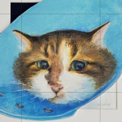 picopicopeeeee's profile picture