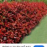 Kullanici62 的头像