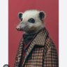 The Opossum profil fotoğrafı