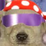 Funky Kong's Jorts profil fotoğrafı