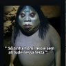 Marciel Silva's profile picture