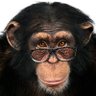 Andronik's profile picture