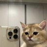 Фото профиля エミリー・マルコヴァ