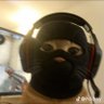 Profilbild von dub