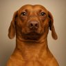 Allan's profile picture
