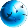 てんぷら's profile picture
