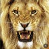لون الطبيعة 💚💚's profile picture