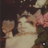 SecilD'16 profil fotoğrafı