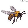 Point Virgule's profile picture