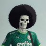 Brook Palmeirense's profile picture